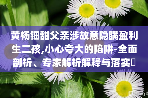 黃楊鈿甜父親涉故意隱瞞盈利生二孩,小心夸大的陷阱-全面剖析、專家解析解釋與落實?