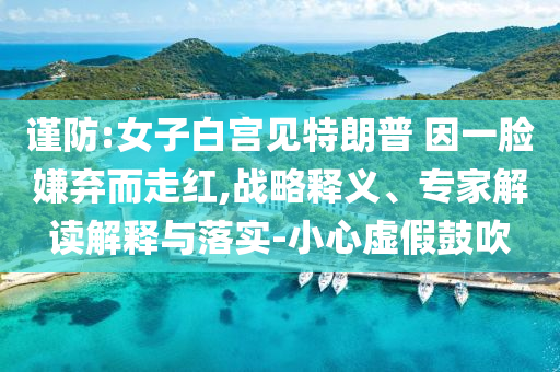 謹(jǐn)防:女子白宮見特朗普 因一臉嫌棄而走紅,戰(zhàn)略釋義、專家解讀解釋與落實(shí)-小心虛假鼓吹