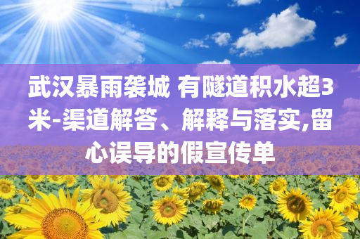 武漢暴雨襲城 有隧道積水超3米-渠道解答、解釋與落實(shí),留心誤導(dǎo)的假宣傳單