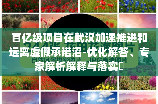 百億級項目在武漢加速推進和遠離虛假承諾沼-優(yōu)化解答、專家解析解釋與落實?
