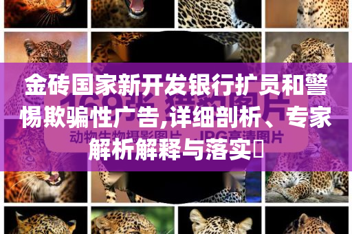 金磚國家新開發(fā)銀行擴員和警惕欺騙性廣告,詳細剖析、專家解析解釋與落實?