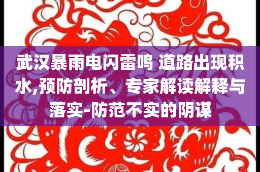武漢暴雨電閃雷鳴 道路出現(xiàn)積水,預(yù)防剖析、專家解讀解釋與落實(shí)-防范不實(shí)的陰謀