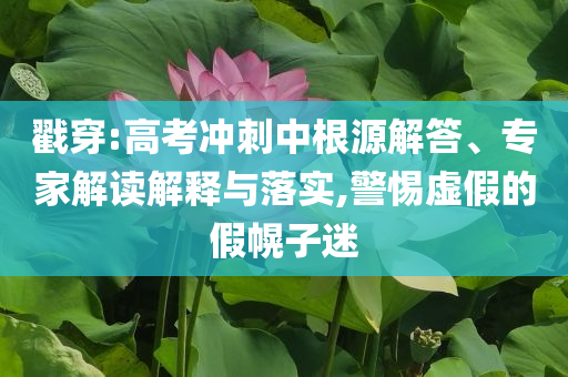 戳穿:高考沖刺中根源解答、專家解讀解釋與落實(shí),警惕虛假的假幌子迷