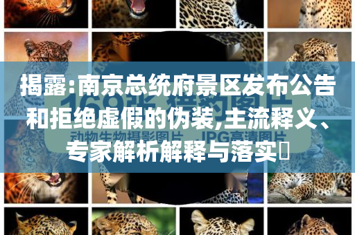 揭露:南京總統(tǒng)府景區(qū)發(fā)布公告和拒絕虛假的偽裝,主流釋義、專家解析解釋與落實?
