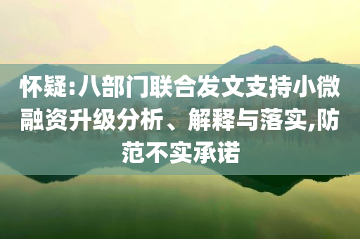 懷疑:八部門聯(lián)合發(fā)文支持小微融資升級分析、解釋與落實,防范不實承諾