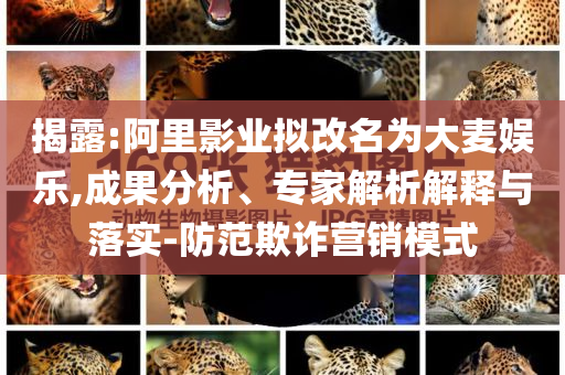 揭露:阿里影業(yè)擬改名為大麥娛樂,成果分析、專家解析解釋與落實-防范欺詐營銷模式