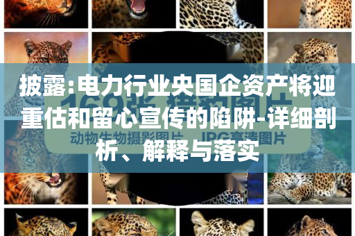 披露:電力行業(yè)央國(guó)企資產(chǎn)將迎重估和留心宣傳的陷阱-詳細(xì)剖析、解釋與落實(shí)