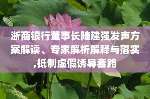 浙商銀行董事長(zhǎng)陸建強(qiáng)發(fā)聲方案解讀、專家解析解釋與落實(shí),抵制虛假誘導(dǎo)套路