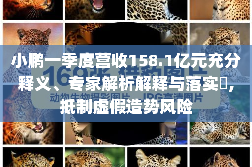 小鵬一季度營(yíng)收158.1億元充分釋義、專家解析解釋與落實(shí)?,抵制虛假造勢(shì)風(fēng)險(xiǎn)
