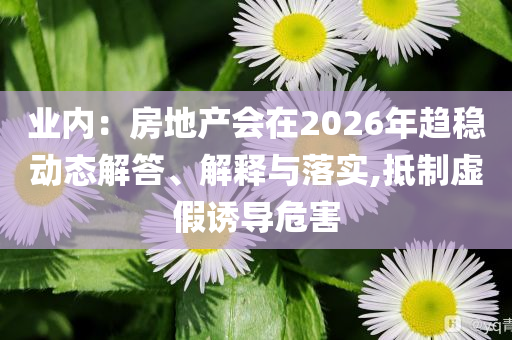 業(yè)內(nèi)：房地產(chǎn)會(huì)在2026年趨穩(wěn)動(dòng)態(tài)解答、解釋與落實(shí),抵制虛假誘導(dǎo)危害