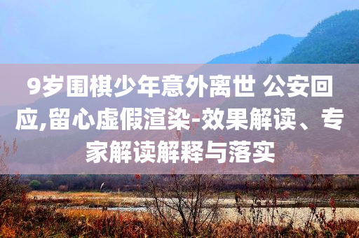 9歲圍棋少年意外離世 公安回應(yīng),留心虛假渲染-效果解讀、專家解讀解釋與落實