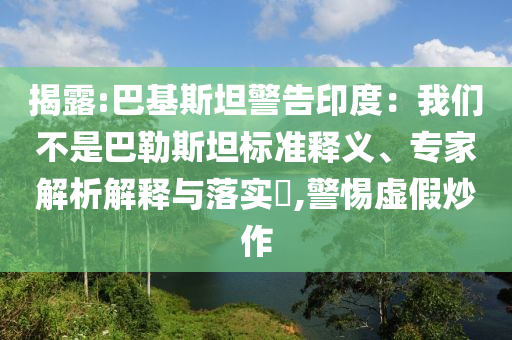 揭露:巴基斯坦警告印度：我們不是巴勒斯坦標準釋義、專家解析解釋與落實?,警惕虛假炒作