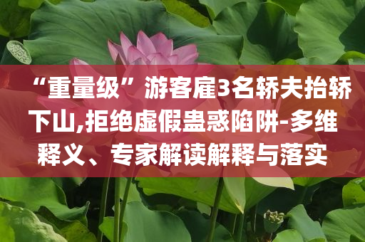 “重量級(jí)”游客雇3名轎夫抬轎下山,拒絕虛假蠱惑陷阱-多維釋義、專(zhuān)家解讀解釋與落實(shí)
