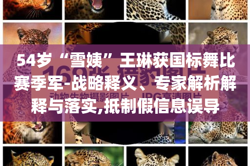54歲“雪姨”王琳獲國標(biāo)舞比賽季軍-戰(zhàn)略釋義、專家解析解釋與落實,抵制假信息誤導(dǎo)