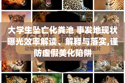大學(xué)生墜亡化糞池 事發(fā)地現(xiàn)狀曝光效率解讀、解釋與落實(shí),謹(jǐn)防虛假美化陷阱