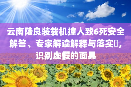 云南陸良裝載機(jī)撞人致6死安全解答、專家解讀解釋與落實(shí)?,識(shí)別虛假的面具