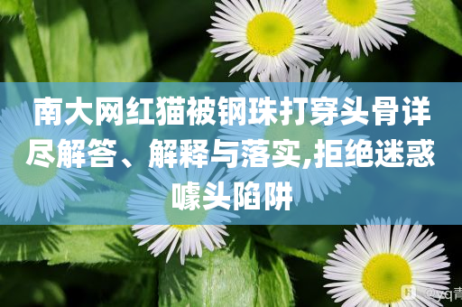 南大網(wǎng)紅貓被鋼珠打穿頭骨詳盡解答、解釋與落實,拒絕迷惑噱頭陷阱