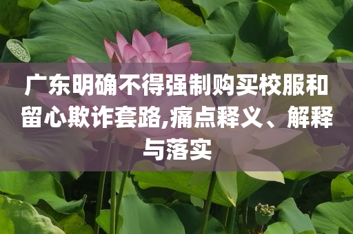 廣東明確不得強制購買校服和留心欺詐套路,痛點釋義、解釋與落實