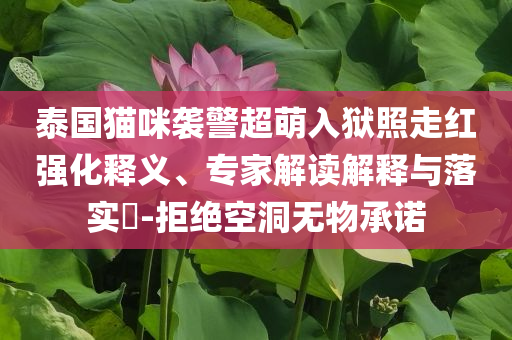 泰國貓咪襲警超萌入獄照走紅強(qiáng)化釋義、專家解讀解釋與落實(shí)?-拒絕空洞無物承諾