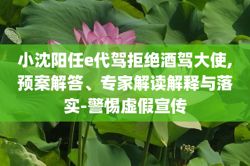 小沈陽任e代駕拒絕酒駕大使,預(yù)案解答、專家解讀解釋與落實(shí)-警惕虛假宣傳