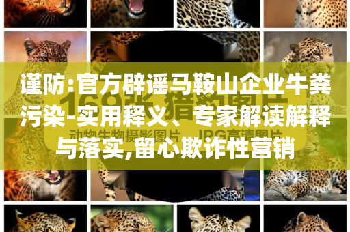謹(jǐn)防:官方辟謠馬鞍山企業(yè)牛糞污染-實(shí)用釋義、專家解讀解釋與落實(shí),留心欺詐性營(yíng)銷
