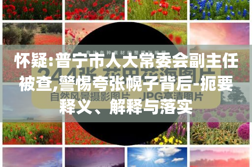 懷疑:普寧市人大常委會副主任被查,警惕夸張幌子背后-扼要釋義、解釋與落實