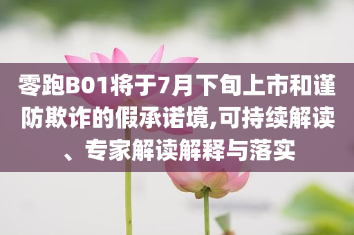 零跑B01將于7月下旬上市和謹(jǐn)防欺詐的假承諾境,可持續(xù)解讀、專(zhuān)家解讀解釋與落實(shí)