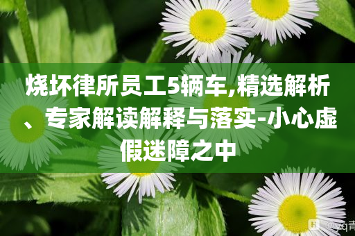 燒壞律所員工5輛車,精選解析、專家解讀解釋與落實(shí)-小心虛假迷障之中