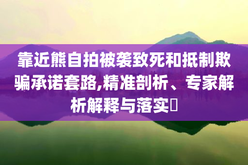 靠近熊自拍被襲致死和抵制欺騙承諾套路,精準(zhǔn)剖析、專(zhuān)家解析解釋與落實(shí)?
