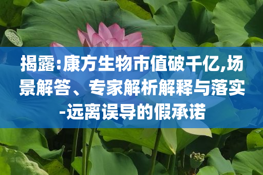 揭露:康方生物市值破千億,場景解答、專家解析解釋與落實-遠離誤導的假承諾