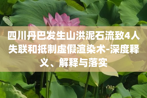 四川丹巴發(fā)生山洪泥石流致4人失聯(lián)和抵制虛假渲染術(shù)-深度釋義、解釋與落實