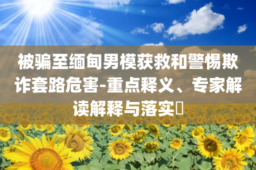 被騙至緬甸男模獲救和警惕欺詐套路危害-重點釋義、專家解讀解釋與落實?