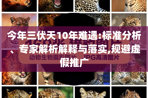 今年三伏天10年難遇:標(biāo)準(zhǔn)分析、專家解析解釋與落實(shí),規(guī)避虛假推廣