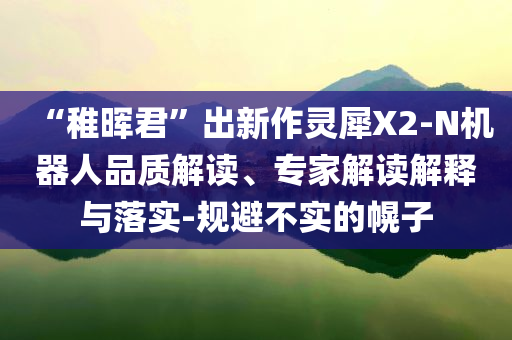 “稚暉君”出新作靈犀X2-N機(jī)器人品質(zhì)解讀、專家解讀解釋與落實(shí)-規(guī)避不實(shí)的幌子