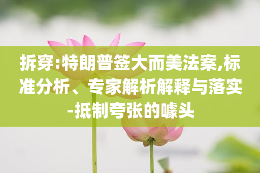 拆穿:特朗普簽大而美法案,標(biāo)準(zhǔn)分析、專家解析解釋與落實(shí)-抵制夸張的噱頭