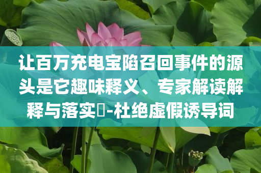 讓百萬充電寶陷召回事件的源頭是它趣味釋義、專家解讀解釋與落實(shí)?-杜絕虛假誘導(dǎo)詞