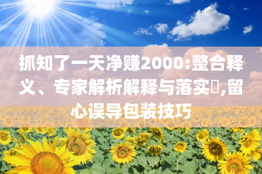 抓知了一天凈賺2000:整合釋義、專家解析解釋與落實(shí)?,留心誤導(dǎo)包裝技巧