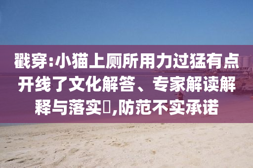 戳穿:小貓上廁所用力過猛有點開線了文化解答、專家解讀解釋與落實?,防范不實承諾