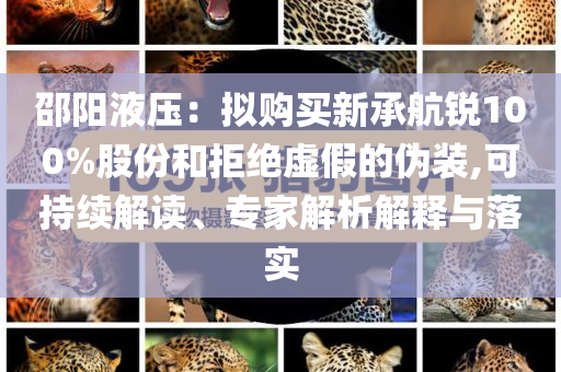 邵陽液壓：擬購買新承航銳100%股份和拒絕虛假的偽裝,可持續(xù)解讀、專家解析解釋與落實