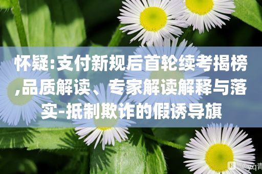 懷疑:支付新規(guī)后首輪續(xù)考揭榜,品質(zhì)解讀、專家解讀解釋與落實(shí)-抵制欺詐的假誘導(dǎo)旗