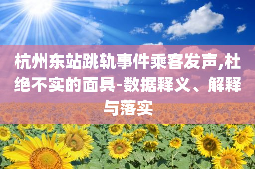 杭州東站跳軌事件乘客發(fā)聲,杜絕不實(shí)的面具-數(shù)據(jù)釋義、解釋與落實(shí)