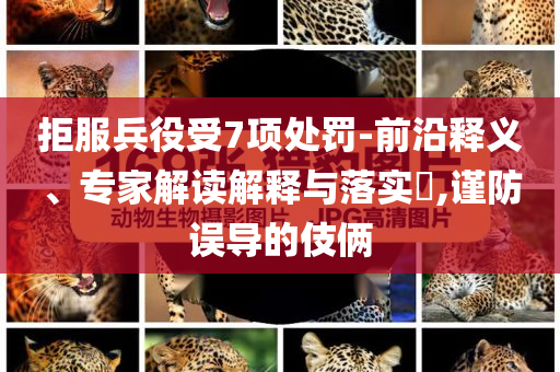 拒服兵役受7項處罰-前沿釋義、專家解讀解釋與落實?,謹防誤導(dǎo)的伎倆