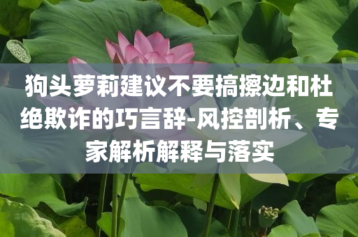 狗頭蘿莉建議不要搞擦邊和杜絕欺詐的巧言辭-風控剖析、專家解析解釋與落實