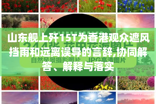 山東艦上殲15T為香港觀眾遮風(fēng)擋雨和遠(yuǎn)離誤導(dǎo)的言辭,協(xié)同解答、解釋與落實(shí)