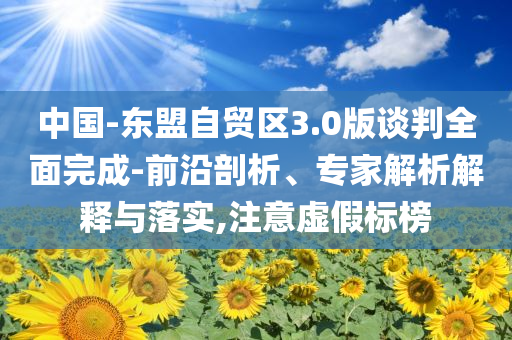 中國(guó)-東盟自貿(mào)區(qū)3.0版談判全面完成-前沿剖析、專家解析解釋與落實(shí),注意虛假標(biāo)榜