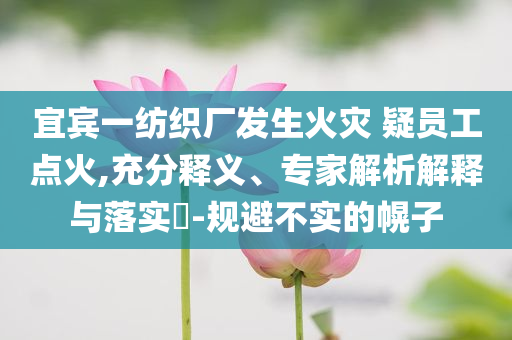 宜賓一紡織廠發(fā)生火災 疑員工點火,充分釋義、專家解析解釋與落實?-規(guī)避不實的幌子