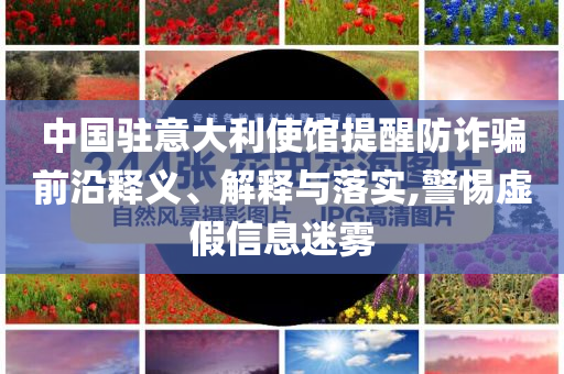 中國駐意大利使館提醒防詐騙前沿釋義、解釋與落實,警惕虛假信息迷霧