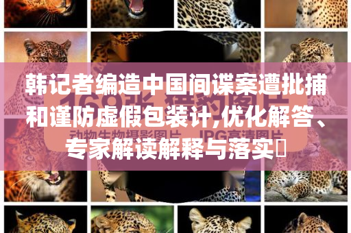 韓記者編造中國間諜案遭批捕和謹(jǐn)防虛假包裝計(jì),優(yōu)化解答、專家解讀解釋與落實(shí)?