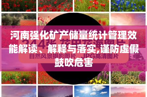 河南強化礦產儲量統(tǒng)計管理效能解讀、解釋與落實,謹防虛假鼓吹危害