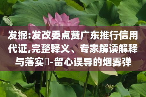 發(fā)掘:發(fā)改委點(diǎn)贊廣東推行信用代證,完整釋義、專家解讀解釋與落實(shí)?-留心誤導(dǎo)的煙霧彈